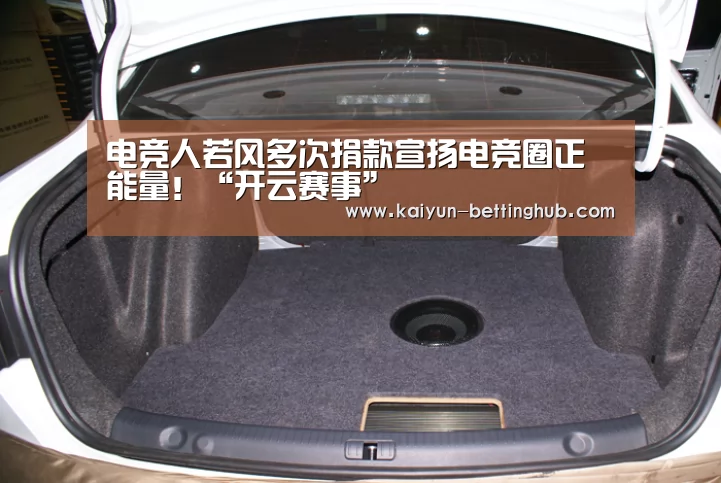 电竞人若风多次捐款宣扬电竞圈正能量!“开云赛事”(图4) 开云直播