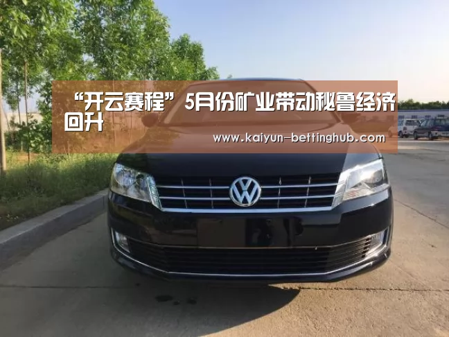 “开云赛程”5月份矿业带动秘鲁经济回升(图2) 开云赛程