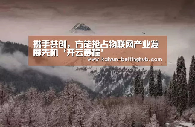 携手共创,方能抢占物联网产业发展先机‘开云赛程’(图2) 开云赛事