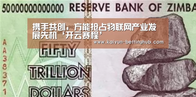 携手共创,方能抢占物联网产业发展先机‘开云赛程’(图3) 开云入口
