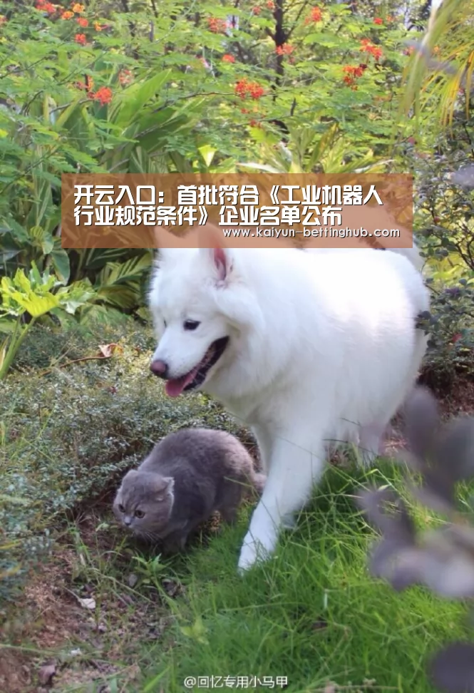 开云直播