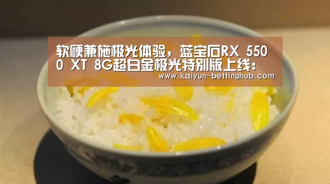 软硬兼施极光体验,蓝宝石RX 5500 XT 8G超白金极光特别版上线:开云直播(图3) 开云直播