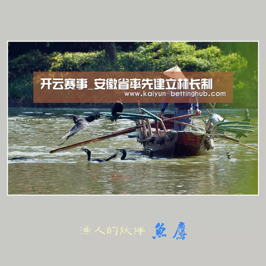 开云赛事_安徽省率先建立林长制(图4) 开云赛事