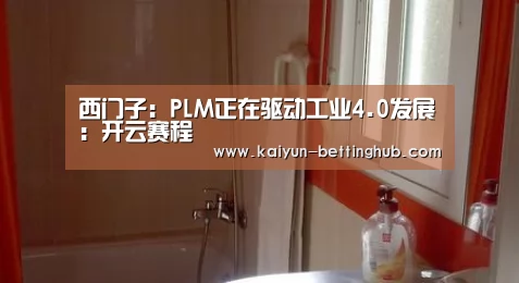 开云入口
