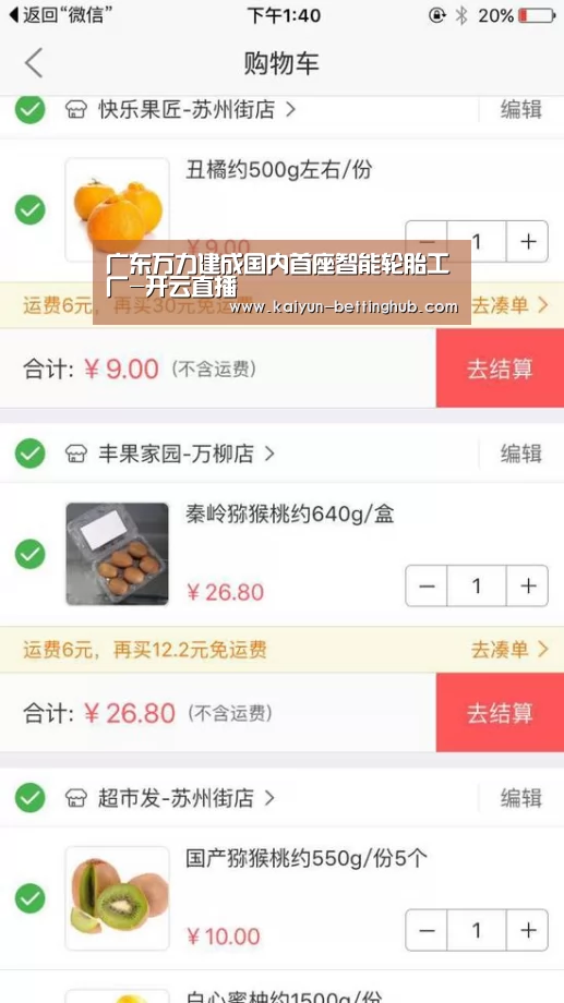 广东万力建成国内首座智能轮胎工厂-开云直播(图1) 开云赛程