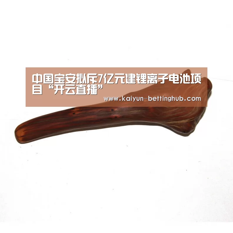 开云入口