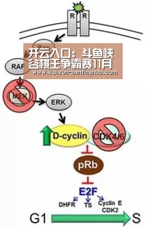 开云直播