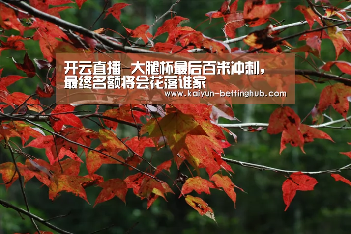 开云入口