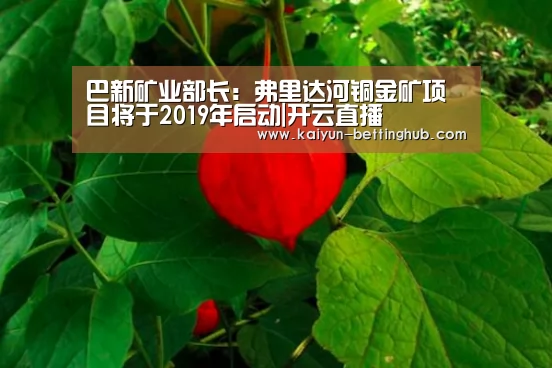 开云赛程
