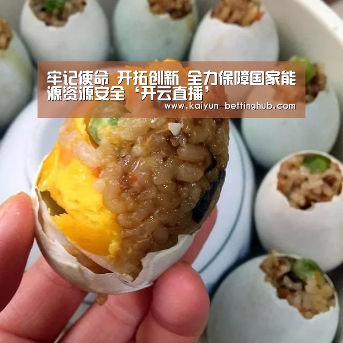 牢记使命 开拓创新 全力保障国家能源资源安全‘开云直播’(图2) 开云赛事