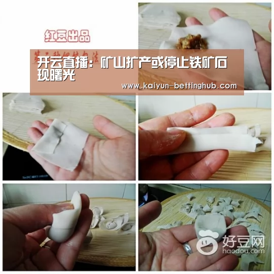 开云直播:矿山扩产或停止铁矿石现曙光(图2) 开云赛事