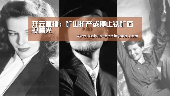 开云直播:矿山扩产或停止铁矿石现曙光(图3) 开云赛事