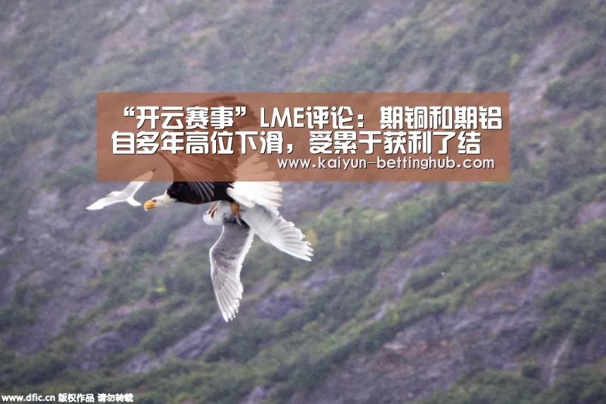 “开云赛事”LME评论:期铜和期铝自多年高位下滑,受累于获利了结(图1) 开云直播